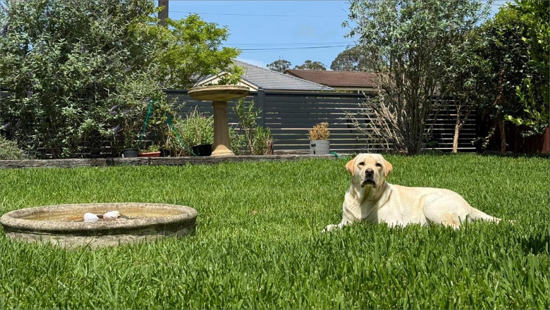 Bliss At Jervis Bay Villa Vincentia Exterior photo